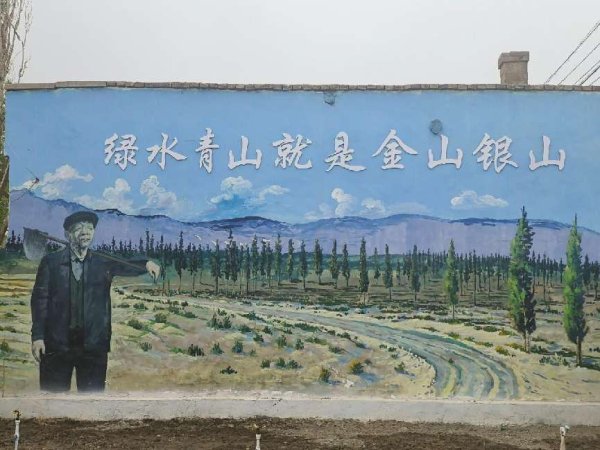 海纳策略 “这辈子，我要种下一百万棵树”