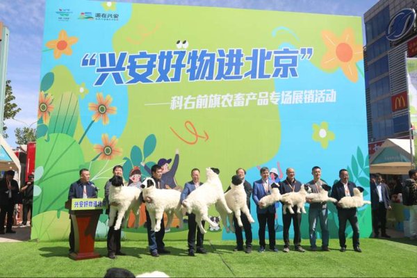 易倍策略 内蒙古科右前旗：京蒙协作让货俏销