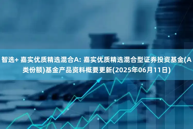 智选+ 嘉实优质精选混合A: 嘉实优质精选混合型证券投资基金(A类份额)基金产品资料概要更新(2025年06月11日)