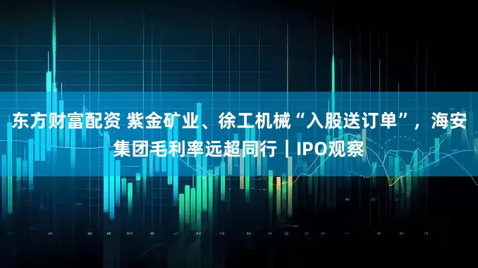 东方财富配资 紫金矿业、徐工机械“入股送订单”，海安集团毛利率远超同行｜IPO观察